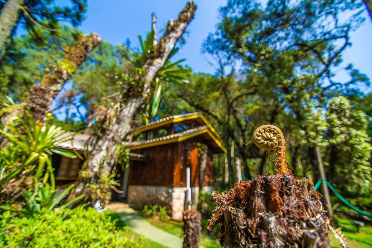 Pousada Villa D'Amore Monte Verde  Exteriör bild