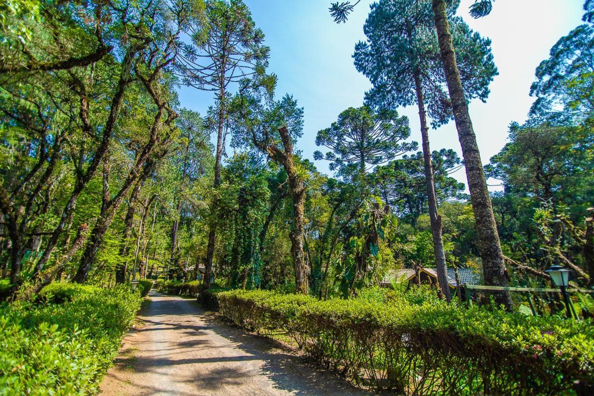 Pousada Villa D'Amore Monte Verde  Exteriör bild