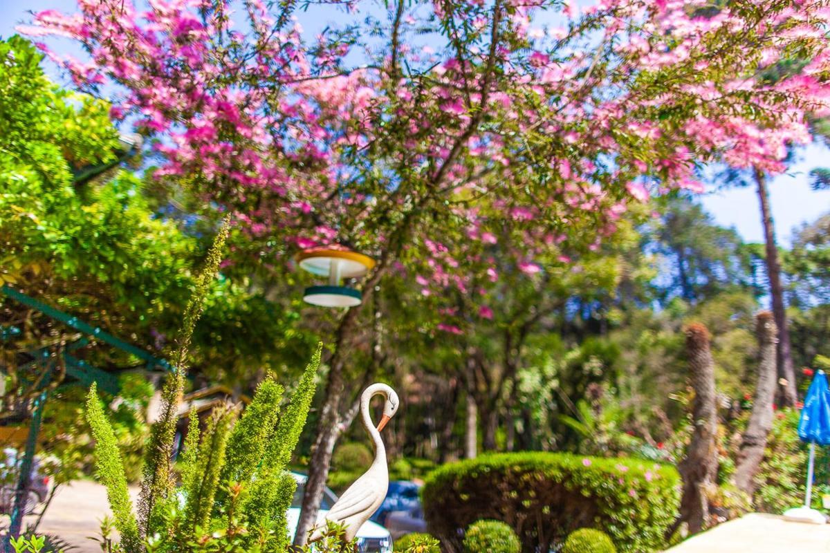 Pousada Villa D'Amore Monte Verde  Exteriör bild