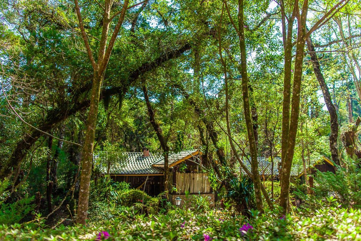 Pousada Villa D'Amore Monte Verde  Exteriör bild